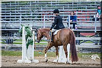 4H-FUN-060615-1104.jpg