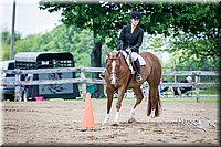 4H-FUN-060615-1106.jpg