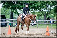 4H-FUN-060615-1107.jpg