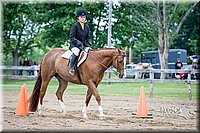 4H-FUN-060615-1108.jpg