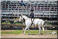 4H-FUN-060615-1380.jpg