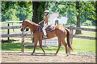 4H-FUN-060615-1469.jpg