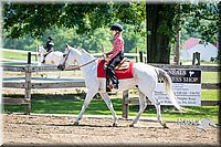 4H-FUN-060615-1478.jpg