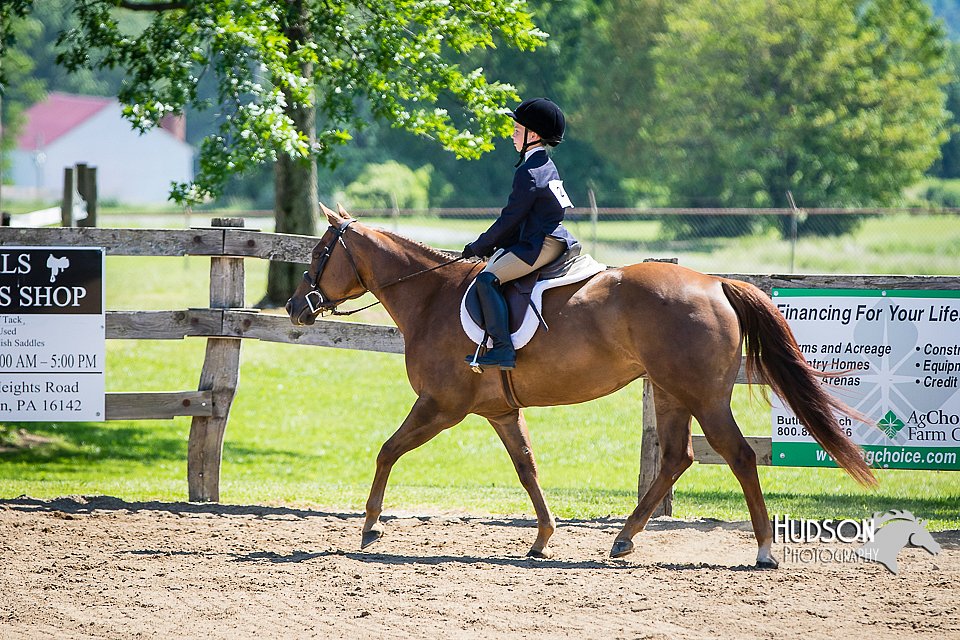 4H-FUN-060615-1491.jpg