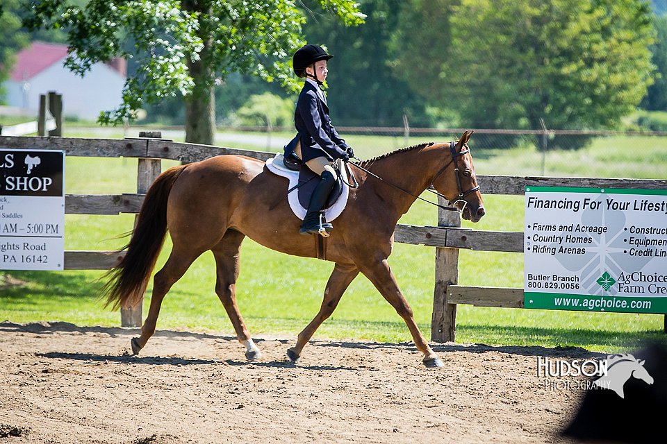 4H-FUN-060615-1512.jpg
