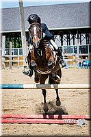 4H-FUN-060615-1533.jpg