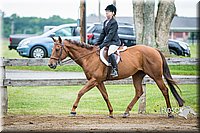 19 Breed Type Hunter Under Saddle Horse  Jr. Rider