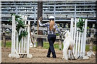 27 Mini Horse In Hand  Trail