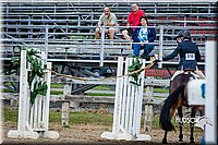 29 Open Trail, Jr. Rider