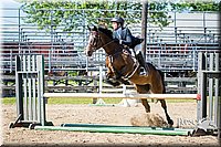 50 Hunt Seat Equitation over Jumps Open