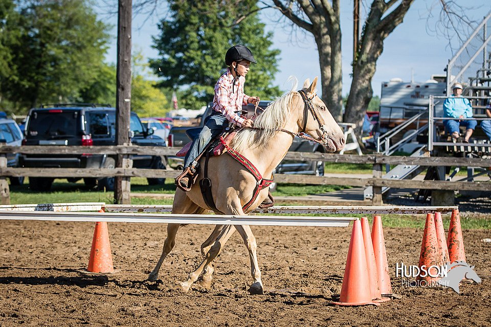 LCFAIR15-5204.jpg