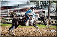 LCFAIR15-5187.jpg