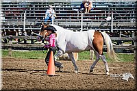 LCFAIR15-5291.jpg