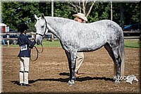 LCFAIR15-5333.jpg