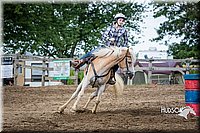 LCFAIR15-5784.jpg