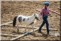 LCFAIR15-5871.jpg