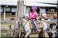 LCFAIR15-6210.jpg