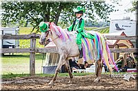 LCFAIR15-6429.jpg