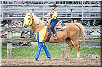 LCFAIR15-6475.jpg