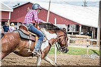 12 Poles Pony