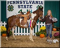 4H-State-2015-0676.jpg