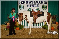 4H-State-2015-1585.jpg