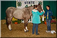 4H-State-2015-1587.jpg