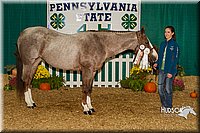 4H-State-2015-1591.jpg