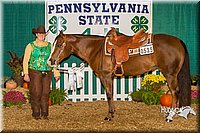 4H-State-2015-1599.jpg