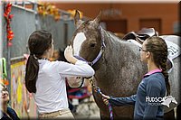 4H-State-2015-0677.jpg