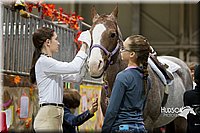 4H-State-2015-0690.jpg