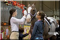 4H-State-2015-0691.jpg