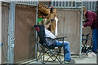 4H-State-2015-1520.jpg