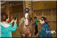 4H-State-2015-1595.jpg