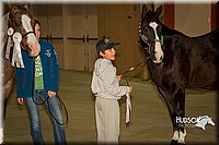 4H-State-2015-1596.jpg