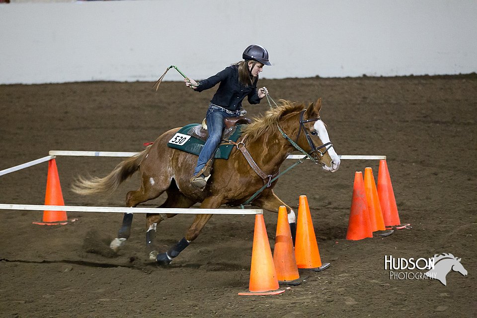 4H-State-2015-0492.jpg