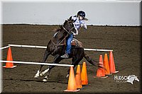 4H-State-2015-0358.jpg