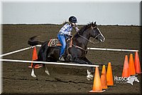 4H-State-2015-0362.jpg