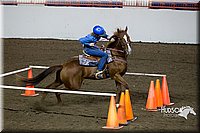 4H-State-2015-0383.jpg