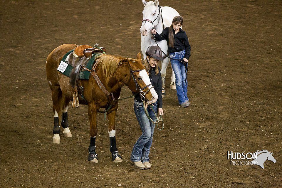 4H-State-2015-0163.jpg
