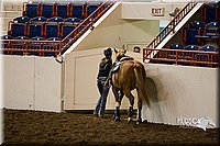 4H-State-2015-0141.jpg