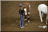 4H-State-2015-0156.jpg