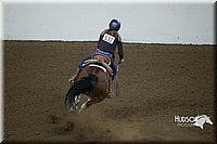 4H-State-2015-0610.jpg