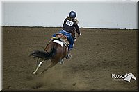 4H-State-2015-0611.jpg