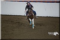 4H-State-2015-0619.jpg