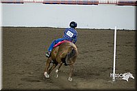 4H-State-2015-0576.jpg