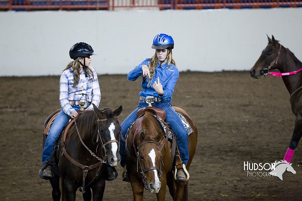 4H-State-2015-0551.jpg
