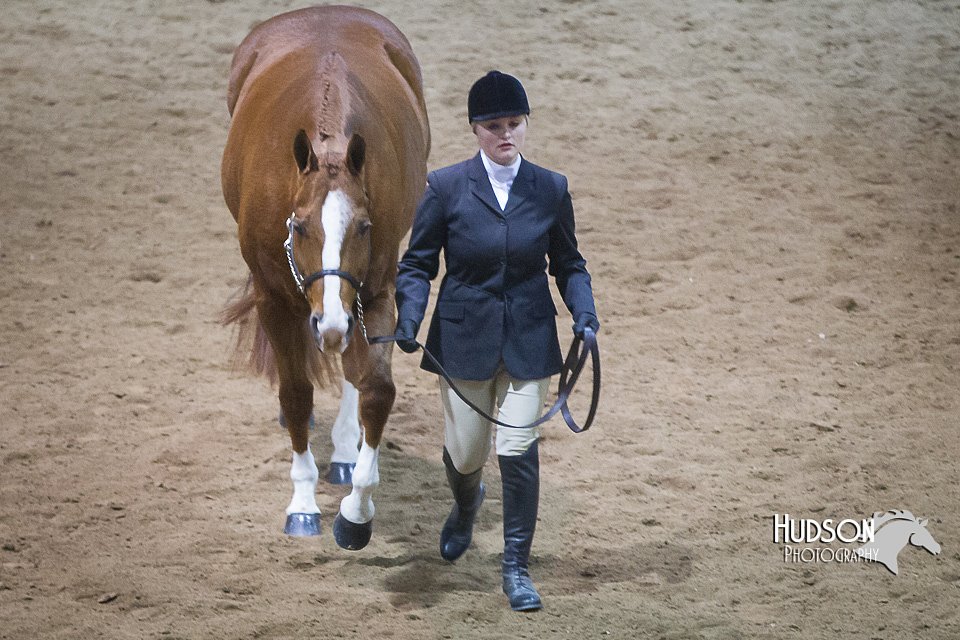 4H-State-2015-1327.jpg