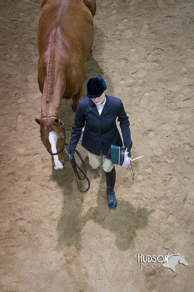 4H-State-2015-1335.jpg