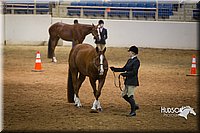 4H-State-2015-1308.jpg